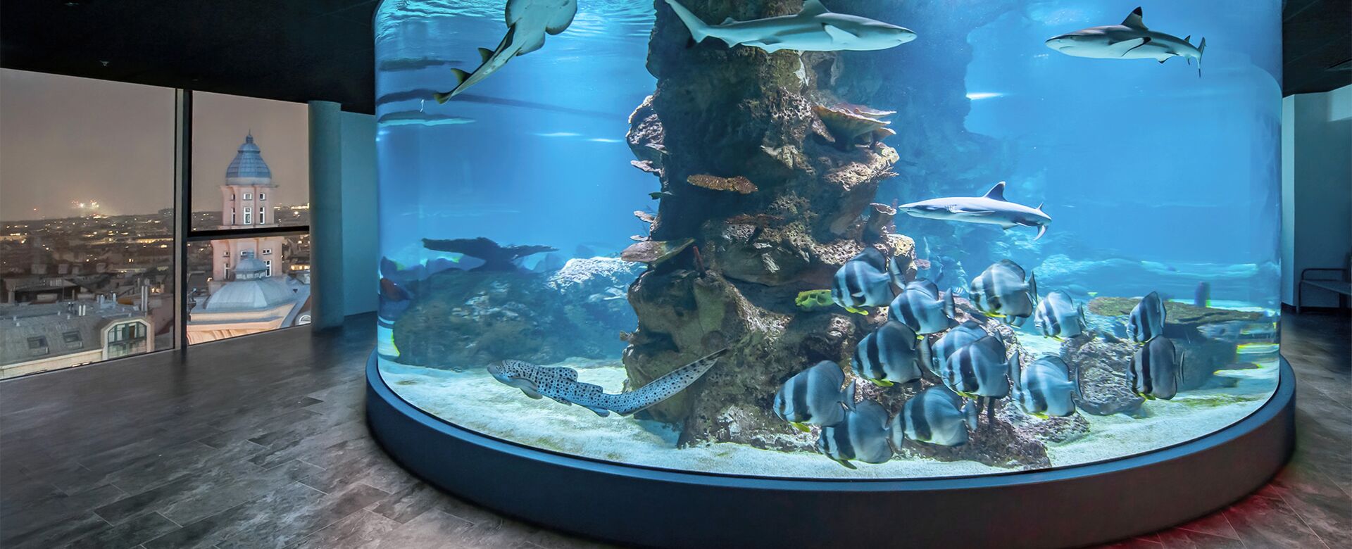 360 Grad Aquarium mit Haien