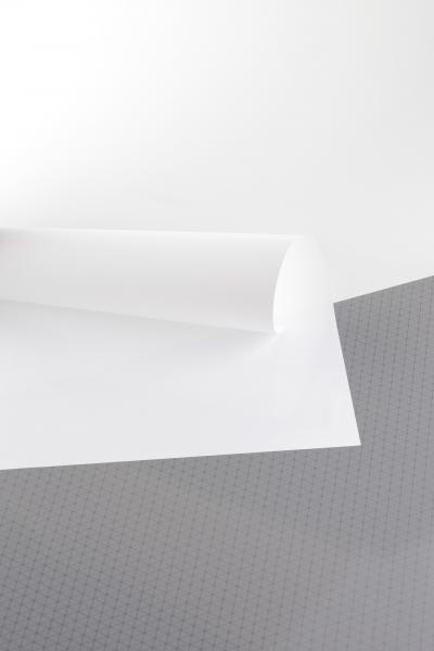 Láminas de PLEXIGLAS® Blanco WF011 Film transparente